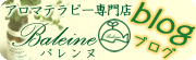 blog(�u���O)