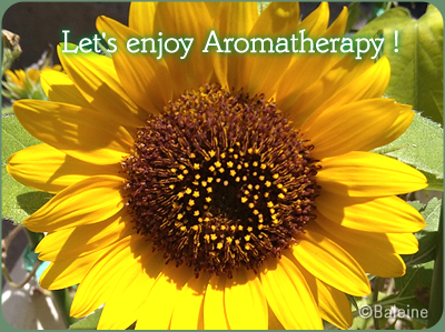 Let's enjoy aromatherapy!
